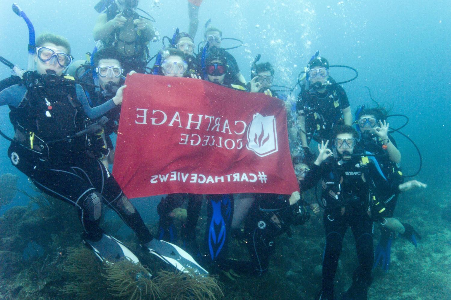 学生们手持<a href='http://7jo8.ngskmc-eis.net'>bv伟德ios下载</a>旗帜，在j学期洪都拉斯游学之旅中潜水.